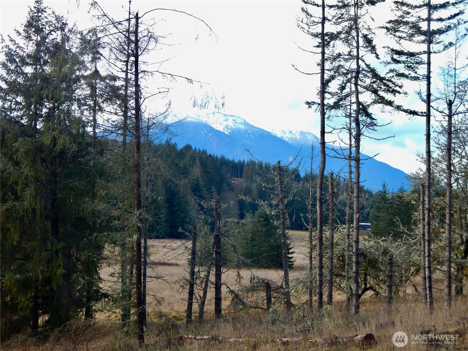 352 X Lost Mountain Road Sequim, WA 98382 - Photo 9 of 29 Gallery Image 9