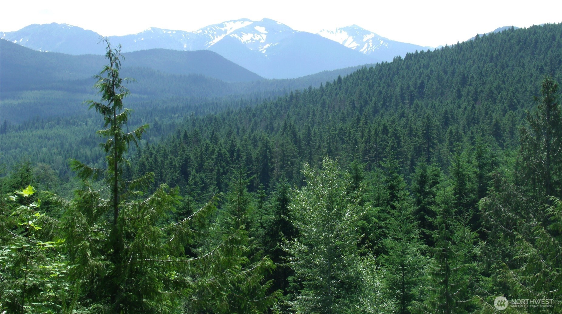 352 X Lost Mountain Road Sequim, WA 98382 - Photo 10 of 29 Gallery Image 10