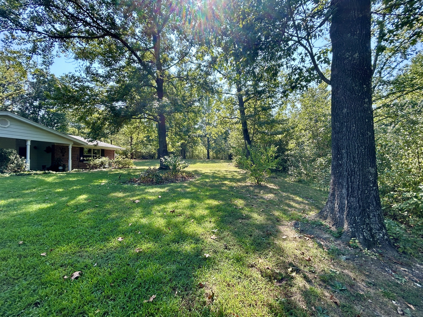 96 New Campfire Road Carbondale, IL 62903 - Photo 24 of 30 Gallery Image 24