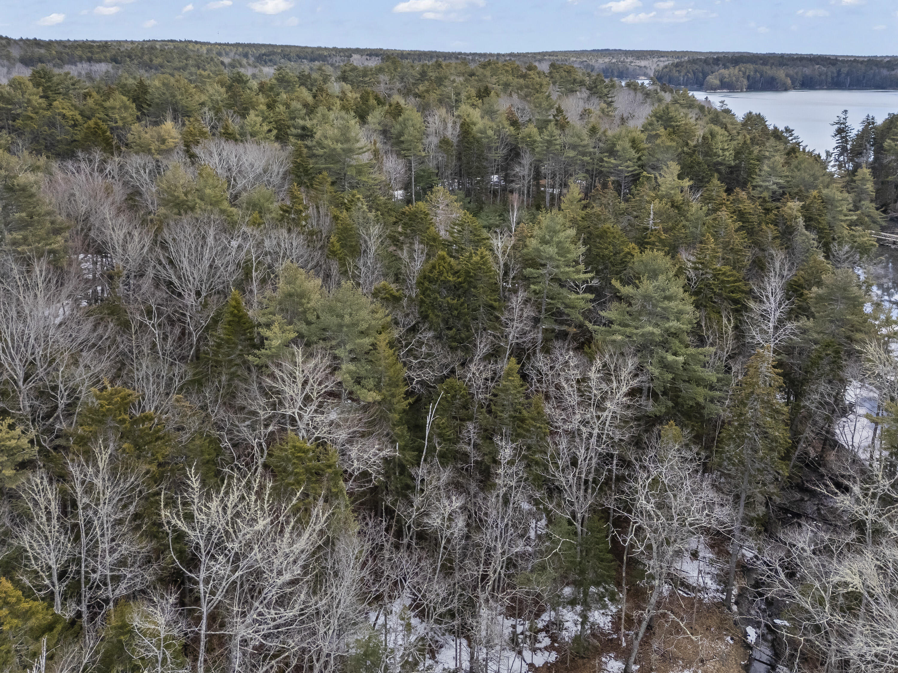Lot 18 Pasture Road Phippsburg, ME 04562 - Photo 20 of 47 Lot 18 Pasture Rd_119