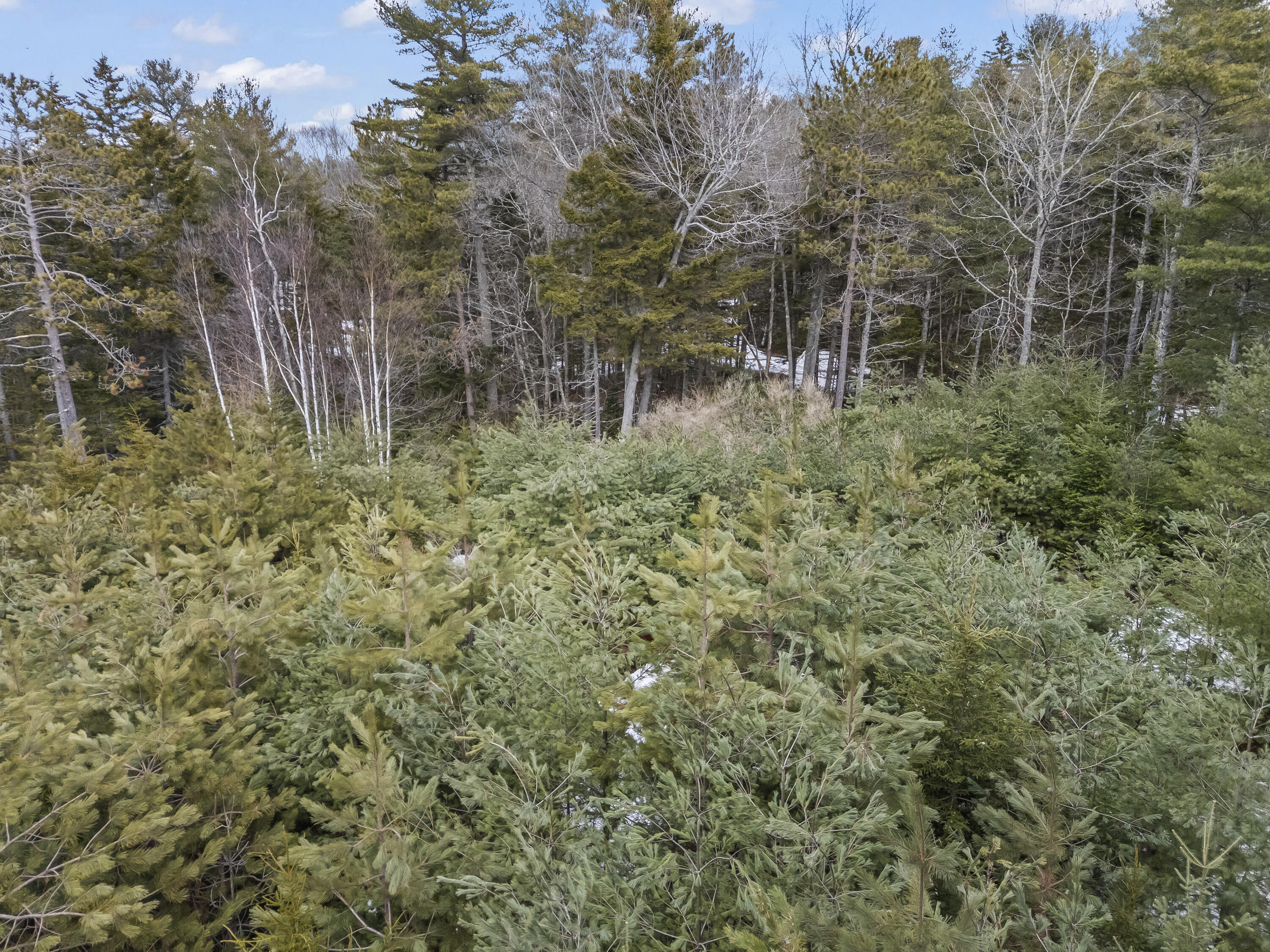 Lot 18 Pasture Road Phippsburg, ME 04562 - Photo 39 of 47 Lot 18 Pasture Rd_138
