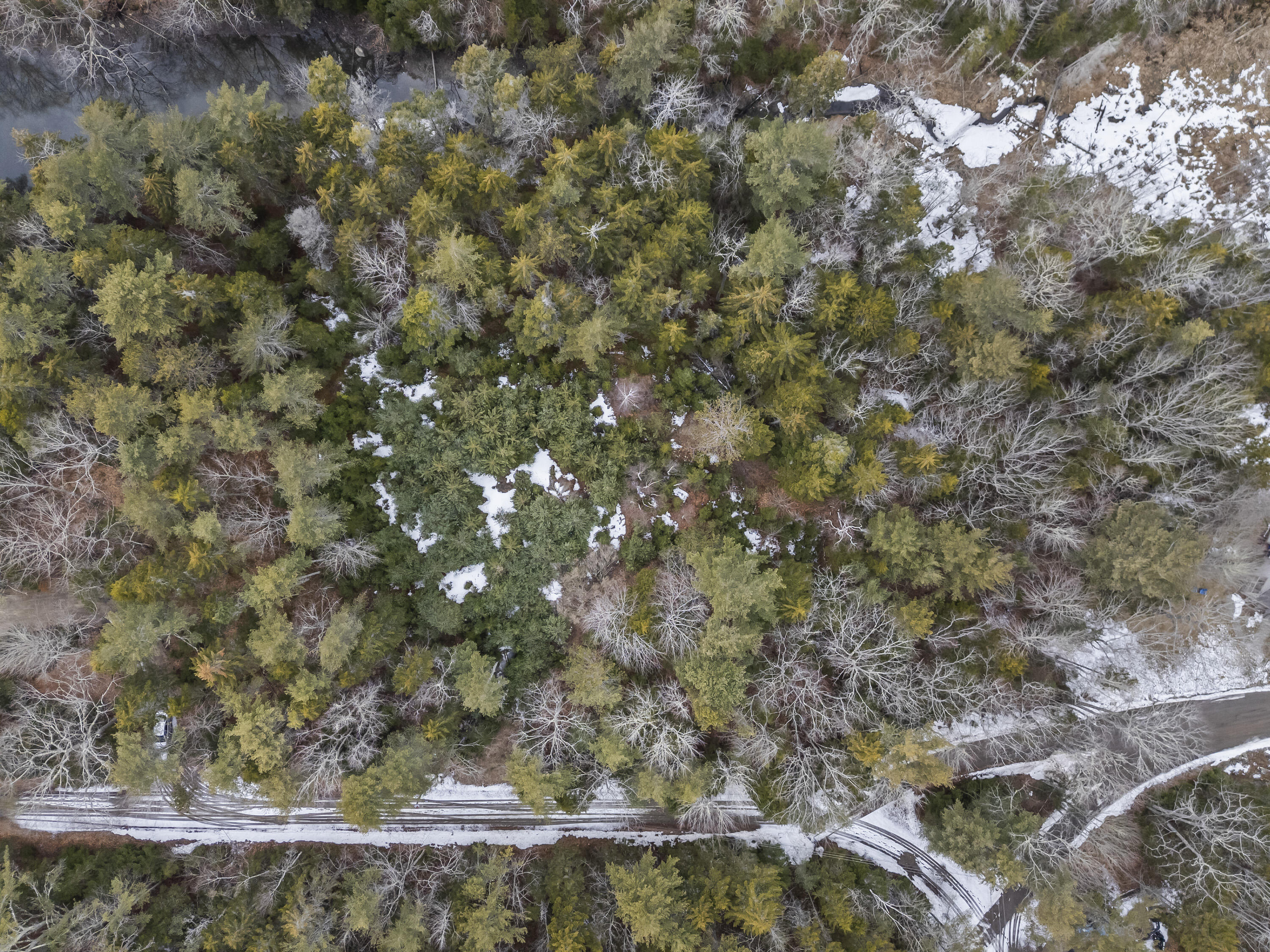 Lot 18 Pasture Road Phippsburg, ME 04562 - Photo 6 of 47 Lot 18 Pasture Rd_105