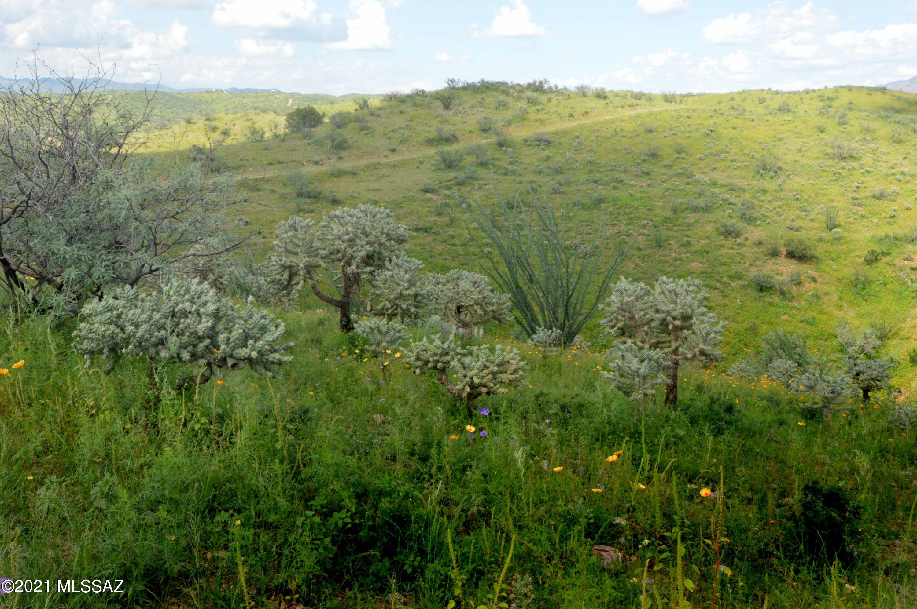 Tbd Sonoita Creek Ranch Road, Unit 86 Nogales, AZ 85621 - Photo 17 of 32