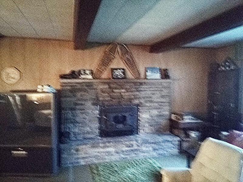 7600 West Frutchey Ranch Road Curran, MI 48728 - Photo 8 of 9 Gallery Image 8