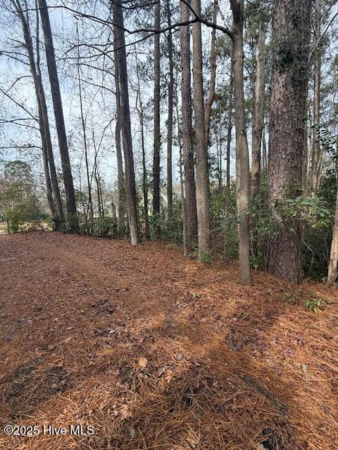 8 North Drive Rocky Point, NC 28457 - Photo 1 of 9 Wooded Lot
