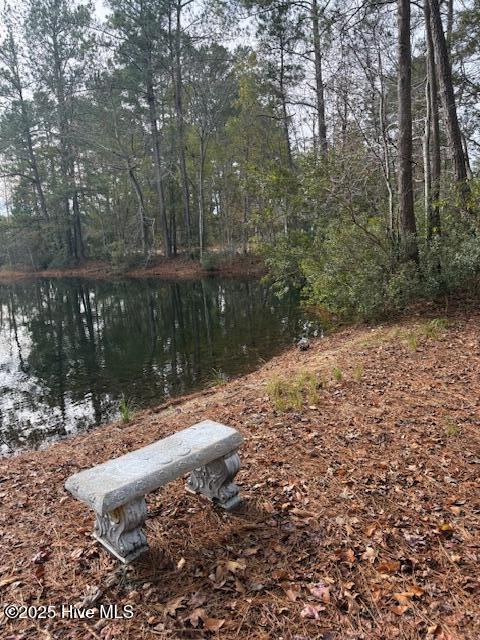 8 North Drive Rocky Point, NC 28457 - Photo 2 of 9 Possible Pond Views