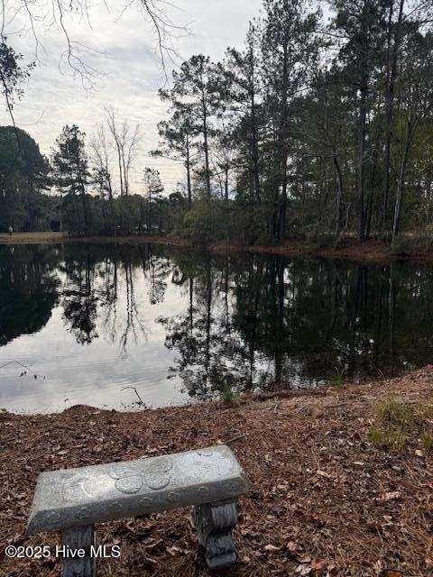 8 North Drive Rocky Point, NC 28457 - Photo 3 of 9 Possible Pond Views
