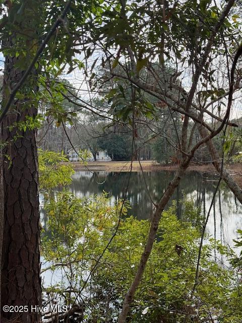 8 North Drive Rocky Point, NC 28457 - Photo 5 of 9 Possible Pond Views