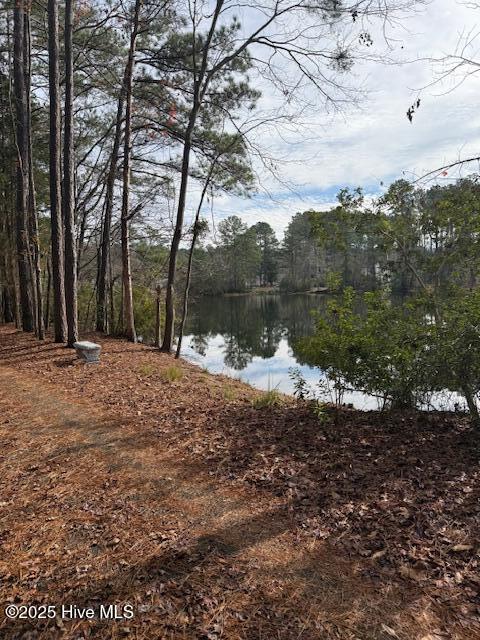 8 North Drive Rocky Point, NC 28457 - Photo 6 of 9 Possible Pond Views