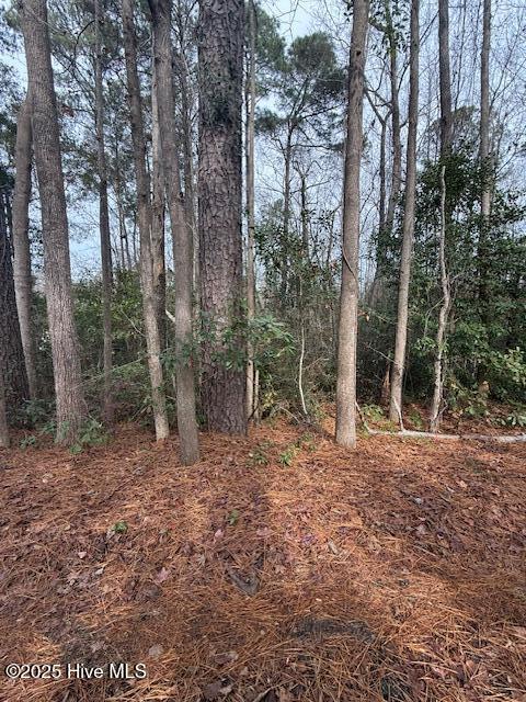 8 North Drive Rocky Point, NC 28457 - Photo 8 of 9 Possible Pond Views
