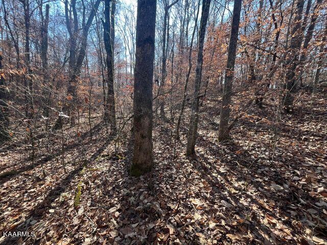 41 Athens Road Delano, TN 37325 - Photo 9 of 34