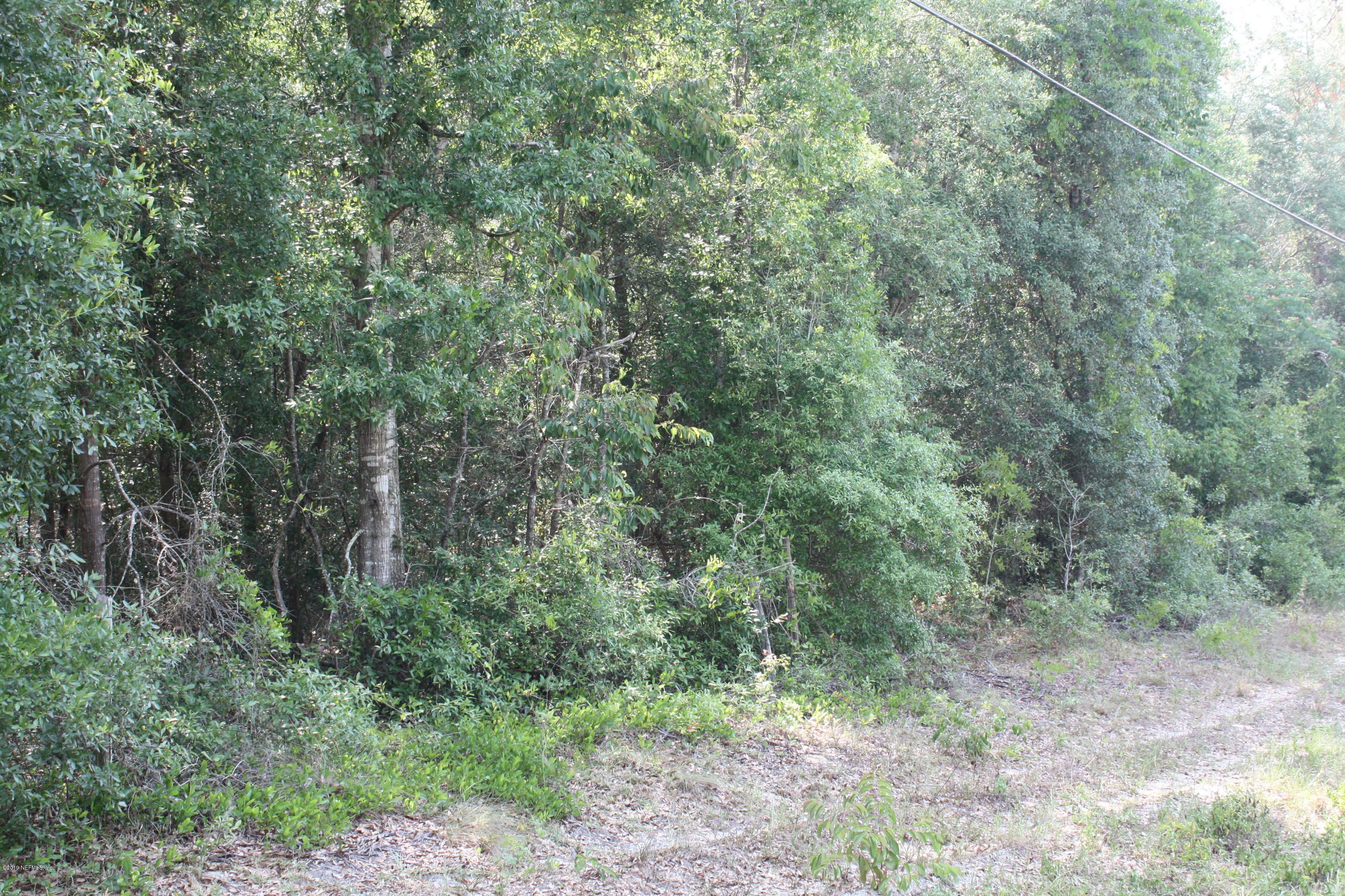 0 Deer Springs Road Keystone Heights, FL 32656 - Photo 4 of 6 a view of a forest with trees in the background