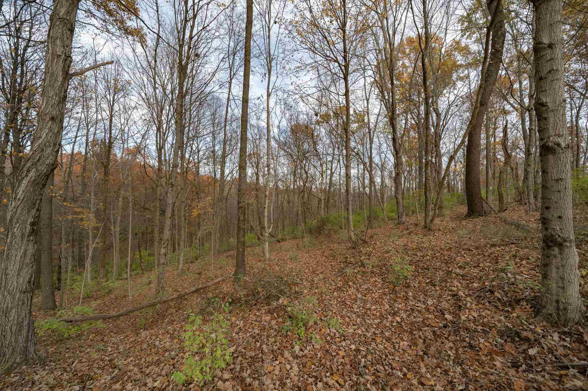 795 Harrison Ridge Road Dry Ridge, KY 41035 - Photo 19 of 21