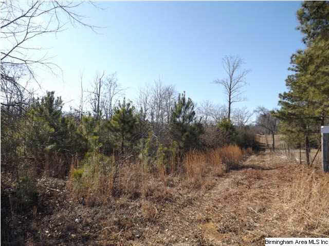 New Prospect Church Road, Unit 16 Horton, AL 35980 - Photo 14 of 20