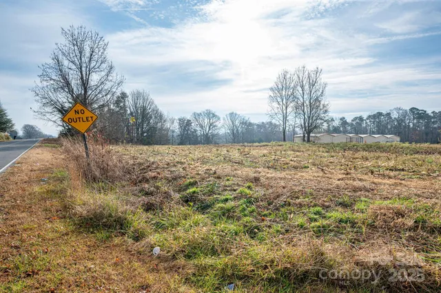 a view of a yard with plants and trees