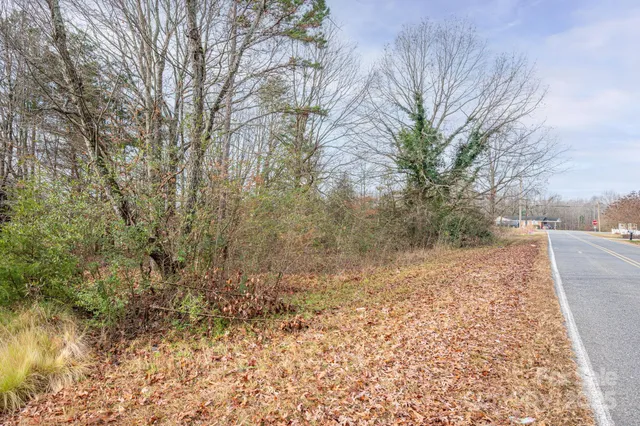 a view of a yard with large trees