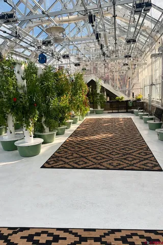 a view of outdoor space yard and patio