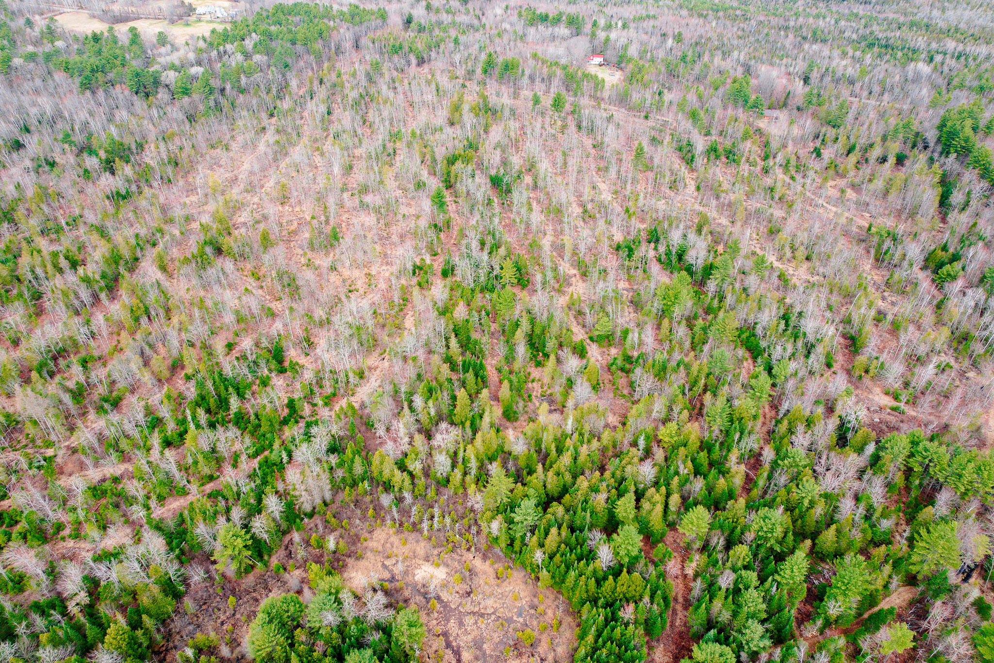 414 Taylor Hill Road New Vineyard, ME 04956 - Photo 80 of 88 414 Taylor Hill Road