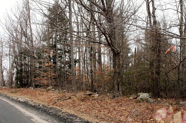 182-acres Colebrook River Road Tolland, MA 01034 - Photo 10 of 15 Gallery Image 10