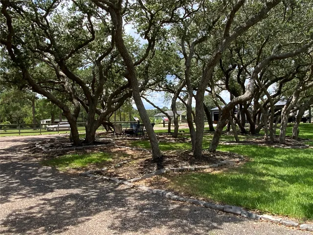 a view of a park with large trees
