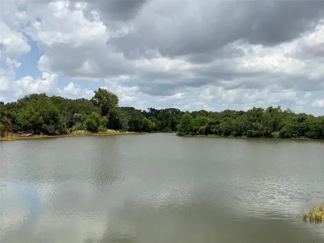 a view of a park with large trees