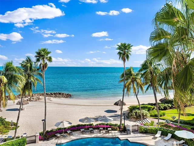 a view of a palm tree with an ocean view