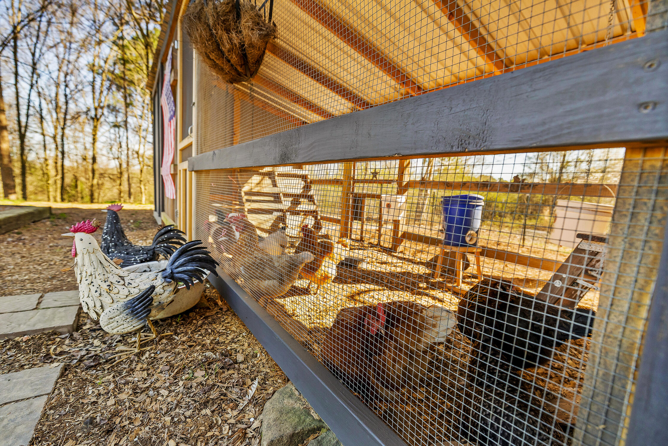 210 Mel McDaniel Road Ringgold, GA 30736 - Photo 64 of 73 Chicken coop