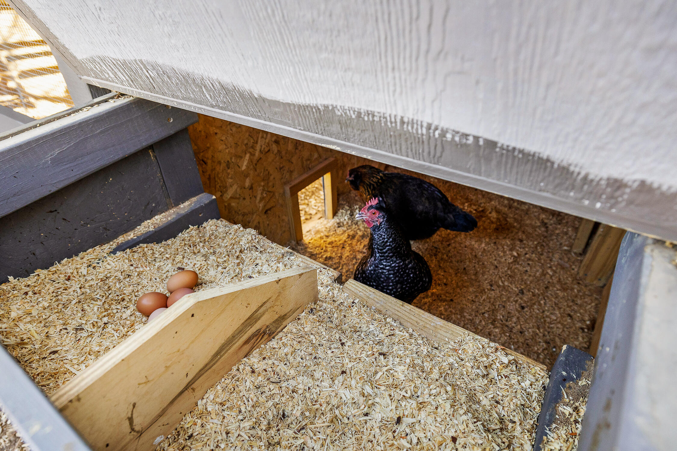210 Mel McDaniel Road Ringgold, GA 30736 - Photo 65 of 73 Chicken coop