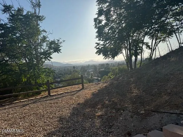 a view of a forest with trees in the background