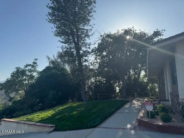 a view of a flower in a yard