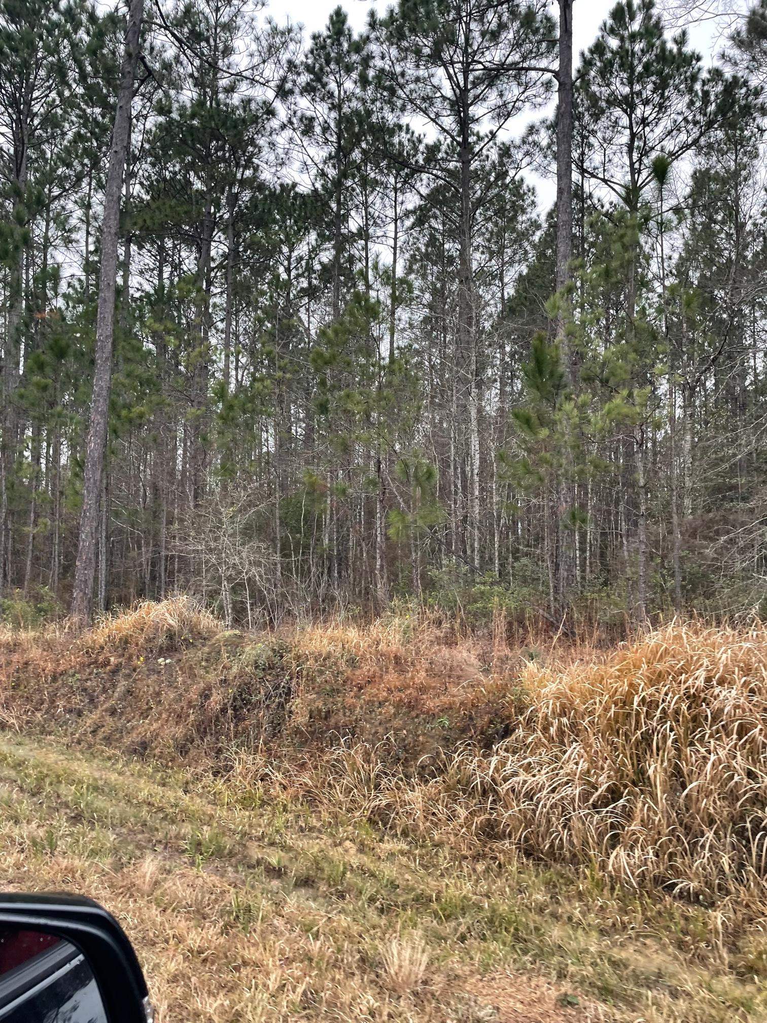 389 Topton Road McIntosh, AL 36553 - Photo 1 of 8 Uninhabitalbe Home on Pro