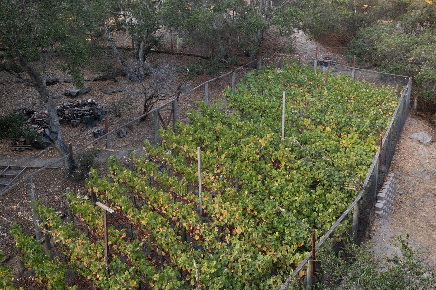 25440 Boots Road Monterey, CA 93940 - Photo 45 of 69 Gallery Image 45