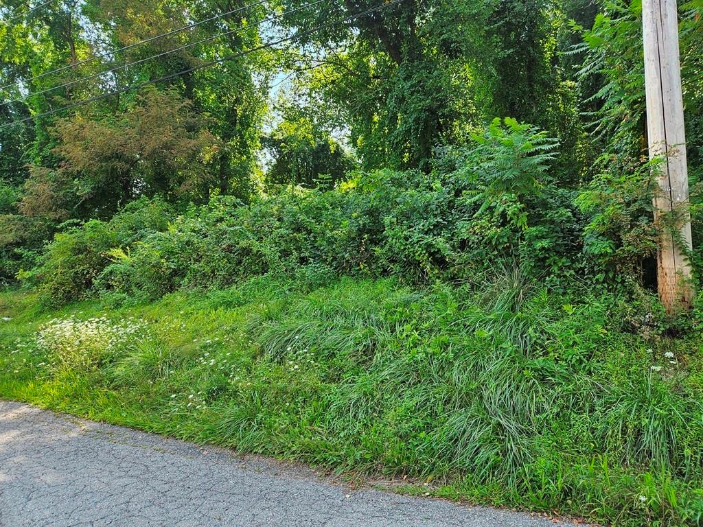 0 Arch Avenue Monessen, PA 15062 - Photo 2 of 3 a view of a lush green forest