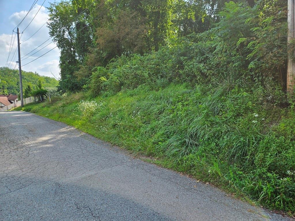 0 Arch Avenue Monessen, PA 15062 - Photo 3 of 3 a view of a yard with a house
