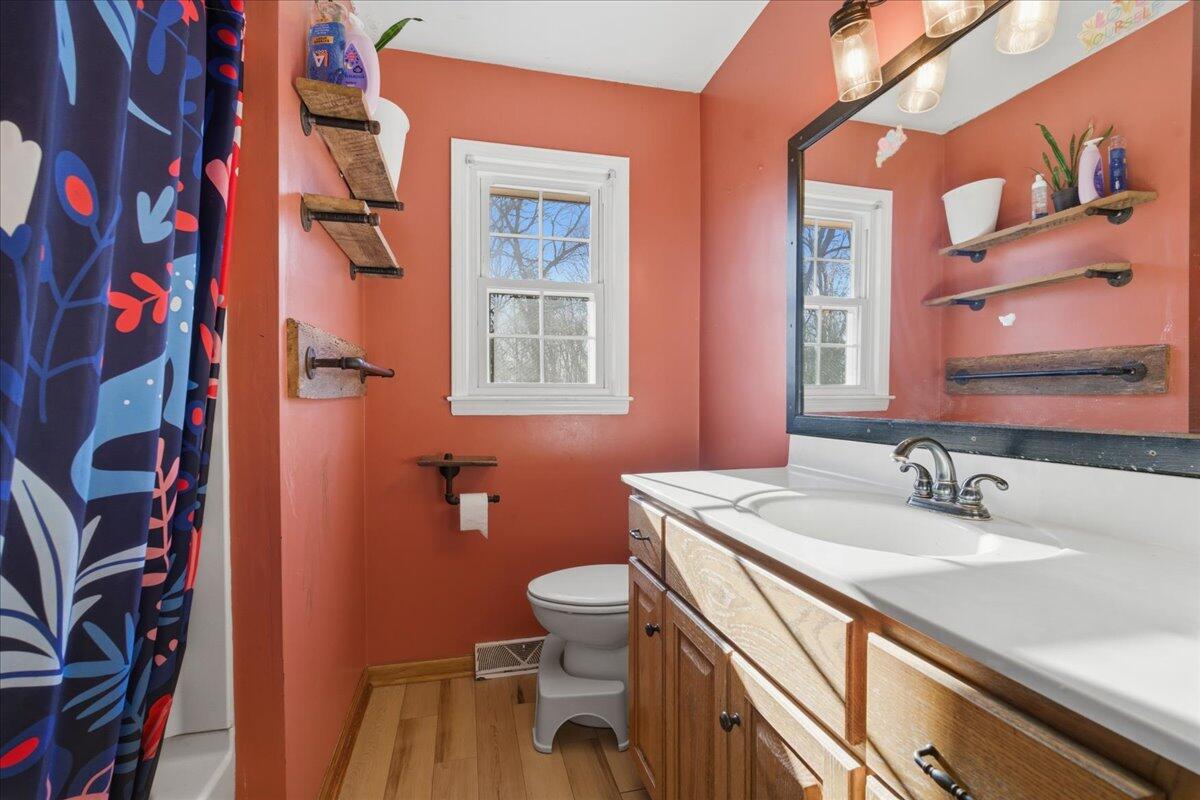 2835 Edwardsville Road Hardy, VA 24101 - Photo 17 of 35 a bathroom with a sink a toilet and a mirror