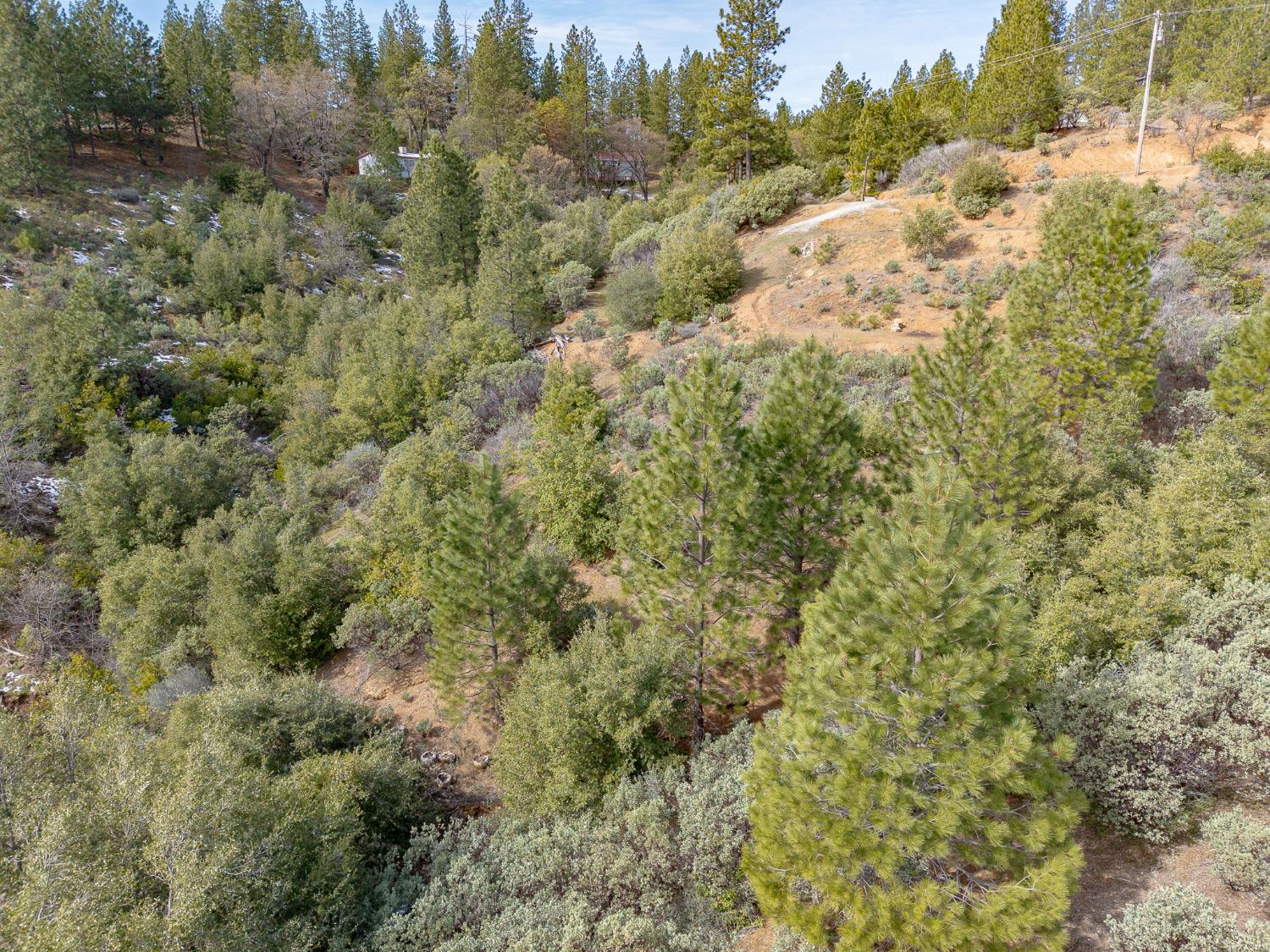 5776 Prospector Lane Murphys, CA 95247 - Photo 37 of 39 Gallery Image 37