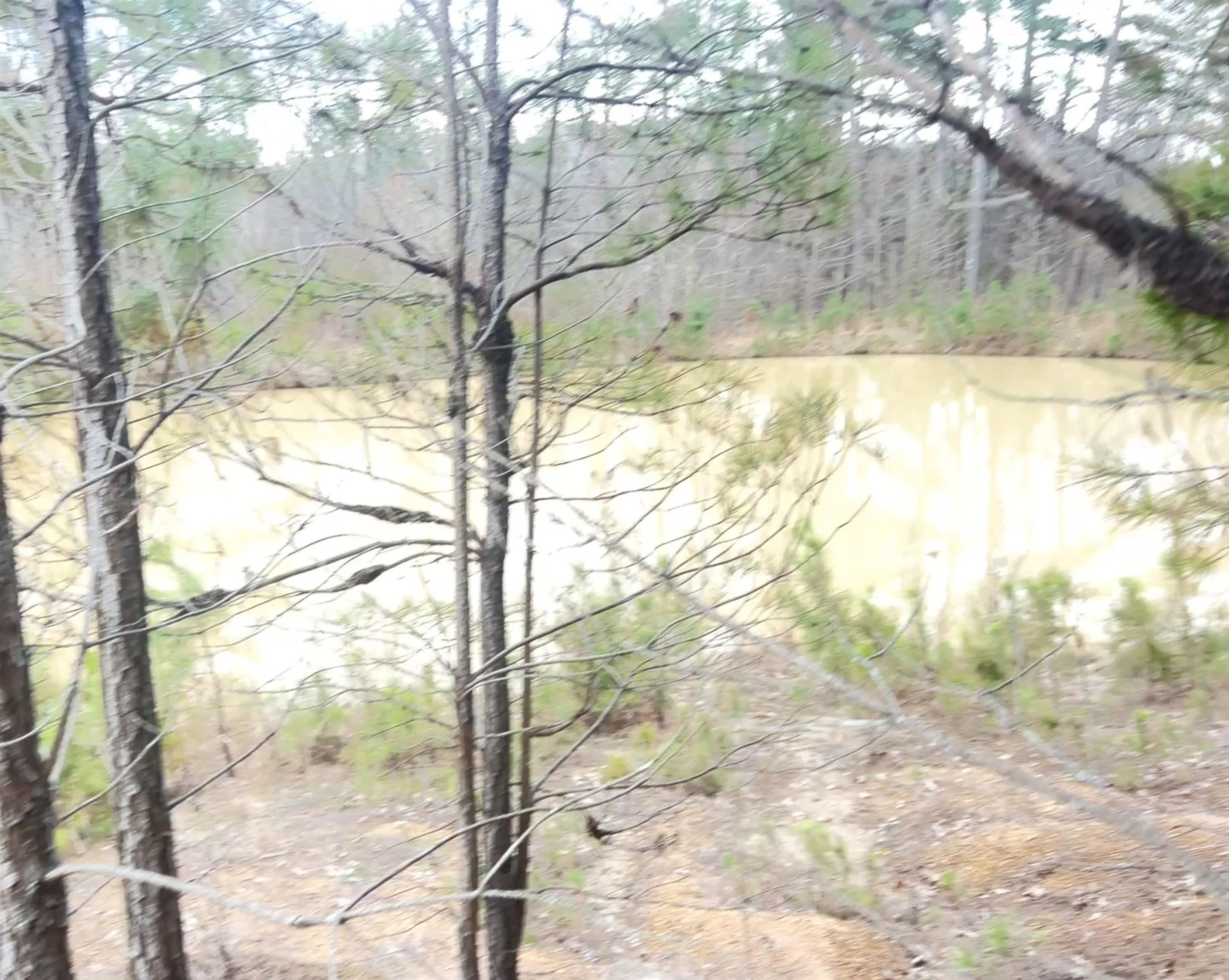 11381 Macon Road Eads, TN 38028 - Photo 7 of 20 Water view