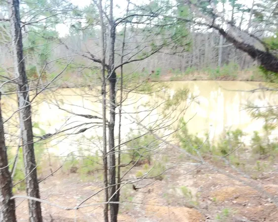 $490,000 | 11381 Macon Road, Eads, TN 38028