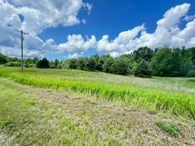 $55,000 | 4-acres East 48th Street, Chase, MI 49623