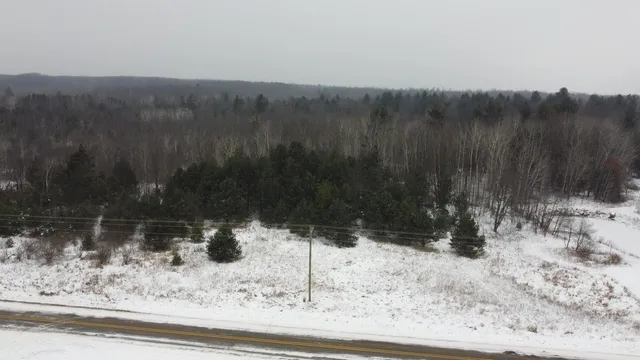 $55,000 | 4-acres East 48th Street, Chase, MI 49623