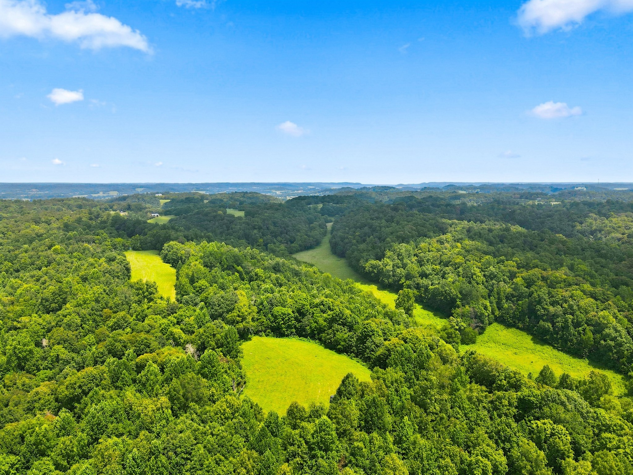 1448 Williams Hollow Road Pulaski, TN 38478 - Photo 37 of 70 Gallery Image 37