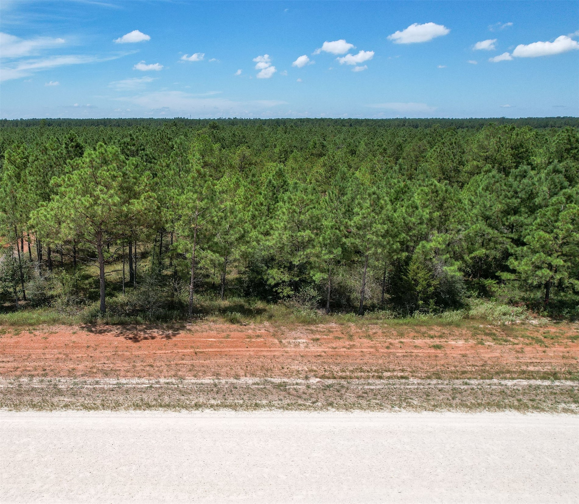 16029 Ridge Oak Road Willis, TX 77378 - Photo 5 of 10