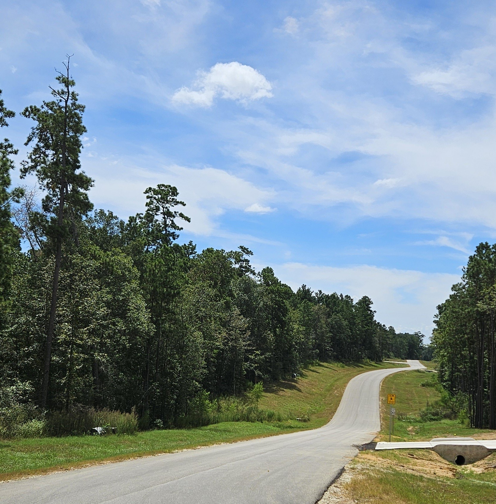 16029 Ridge Oak Road Willis, TX 77378 - Photo 6 of 10