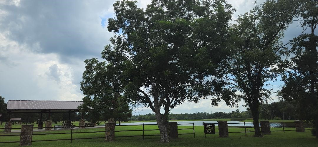 16029 Ridge Oak Road Willis, TX 77378 - Photo 8 of 10 a big yard with large trees