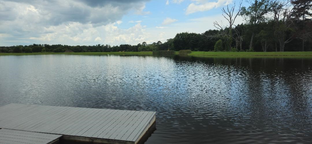 16029 Ridge Oak Road Willis, TX 77378 - Photo 9 of 10 a view of lake