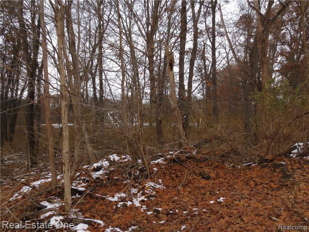 0 Lake George Road Oakland, MI 48363 - Photo 6 of 12 IMG_1596.JPG