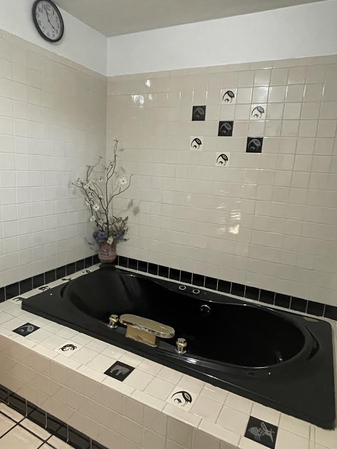 110 Taylor Road Oak Ridge, TN 37830 - Photo 18 of 40 Hall Bath w Jacuzzi Tub