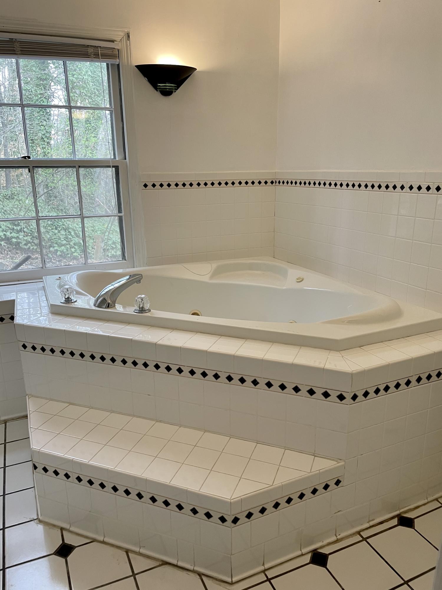 110 Taylor Road Oak Ridge, TN 37830 - Photo 33 of 40 3 Jetted Tubs!