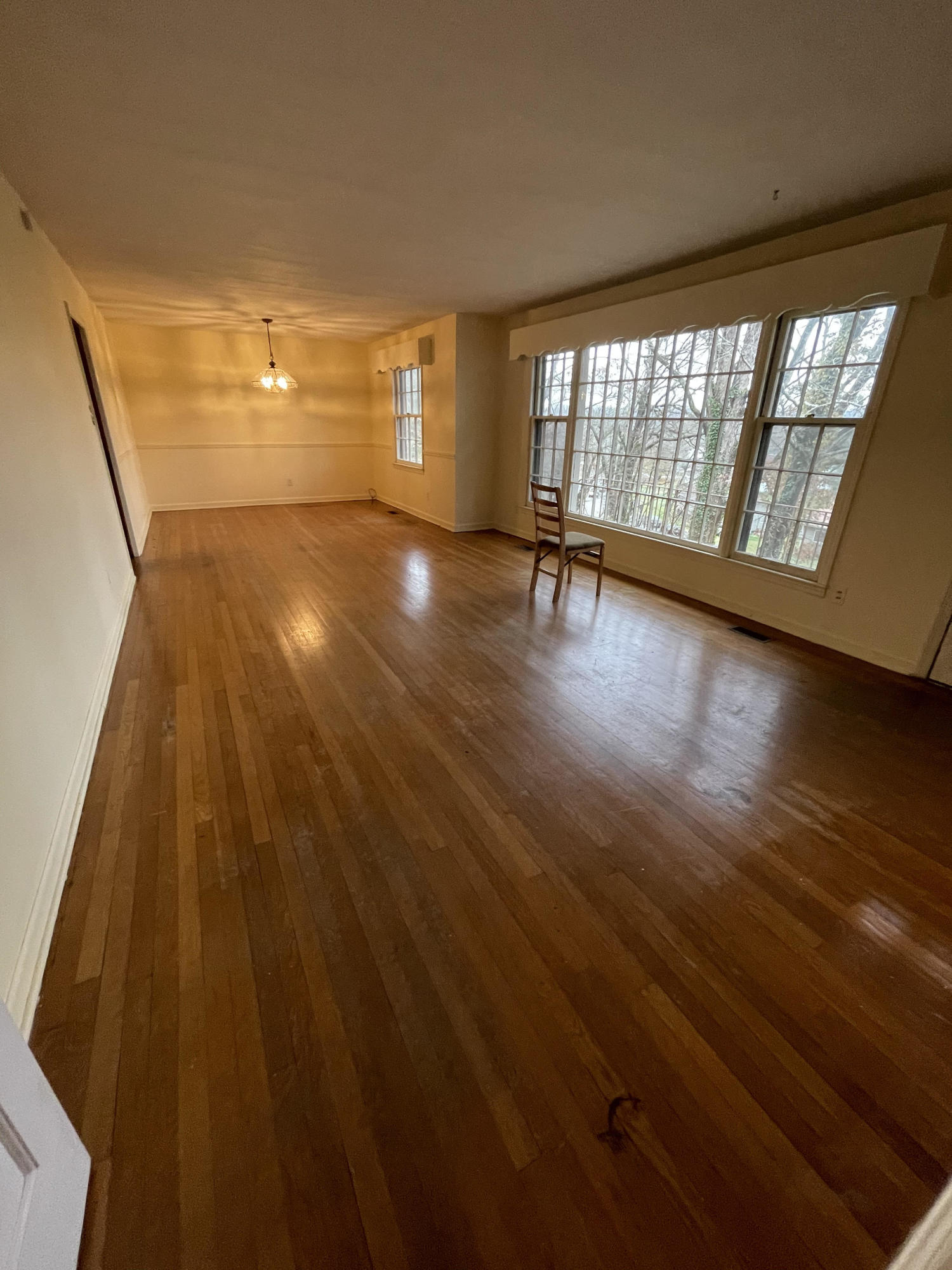 110 Taylor Road Oak Ridge, TN 37830 - Photo 7 of 40 Hardwoords floor and Large Windows