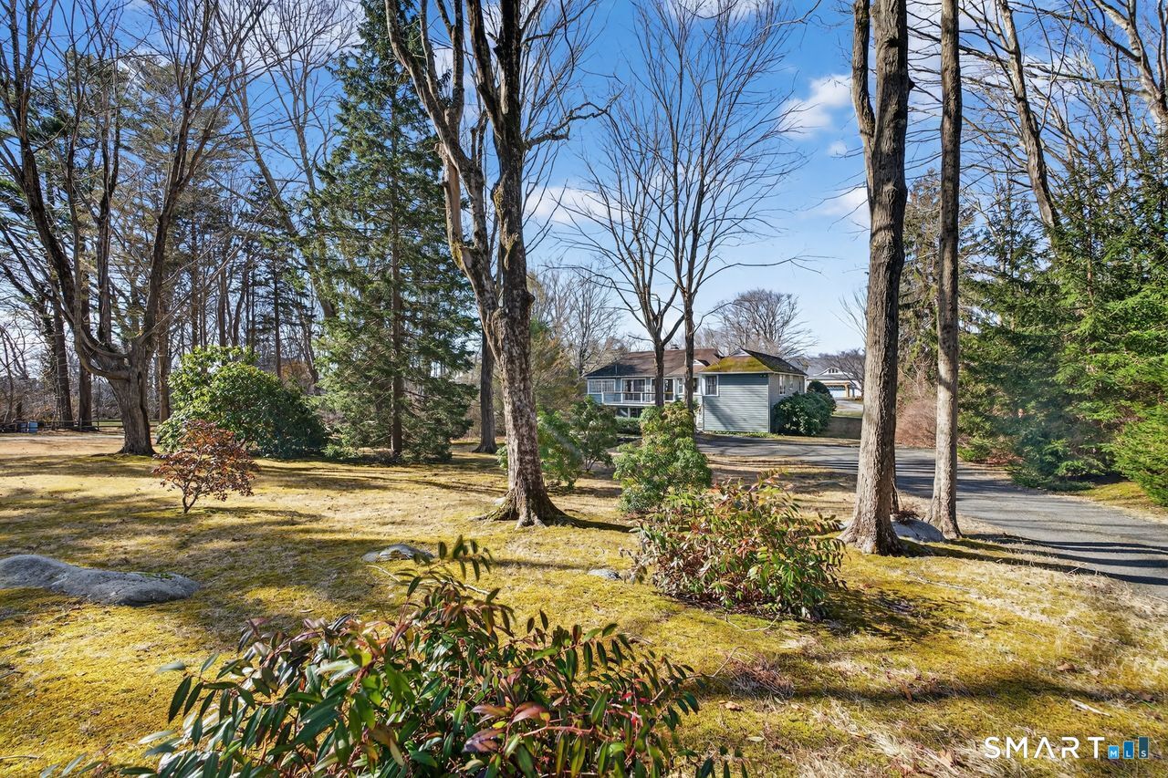 46 A Beach Avenue Madison, CT 06443 - Photo 3 of 32 a view of a yard with plants and trees